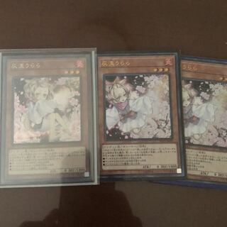 灰流うらら　絵違いシク1枚　ウルトラ2枚