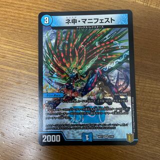 ネ申・マニフェスト VR 2/95