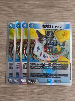 Kitanetsu Schaff VR 5/18