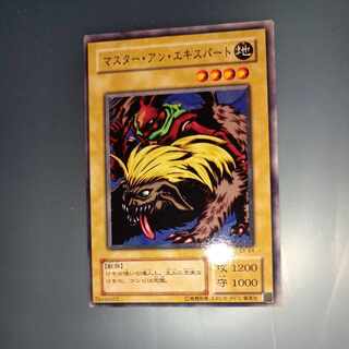 マスター・アン・エキスパート　2期 ノーマル　☆