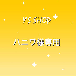 Dedicated 4 units for Mr. Haniwa: 200,000 yen + 400 yen for shipping