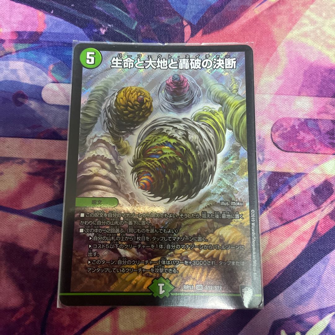 Life Life, Earth and Roaring Decision SR S12/S12