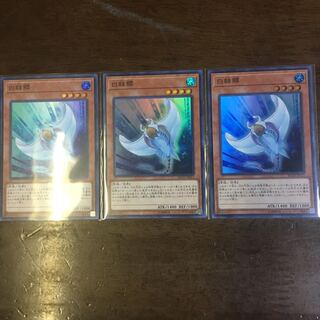 White Stingray SR Set of 3