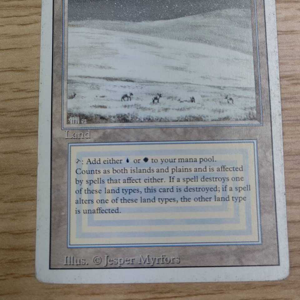 RV Tundra (English) Revised Dual Land MTG Control #: 182