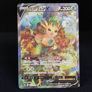 LeafeonV SR SA 071/069