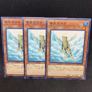 SD32 Treeborn Frog parallel normal JP033