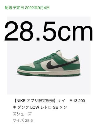 Nike Dunk Low SE Lottery  ダンク ロッタリー 28.5cm 28.5cm