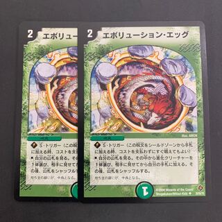 Evolution Egg U 35/55/Y5 DM22