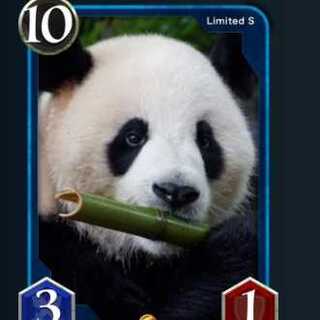 Sカード　ピュアハートパンダ