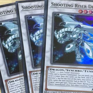 シューティング ライザー ドラゴン 英語版 eu 3枚