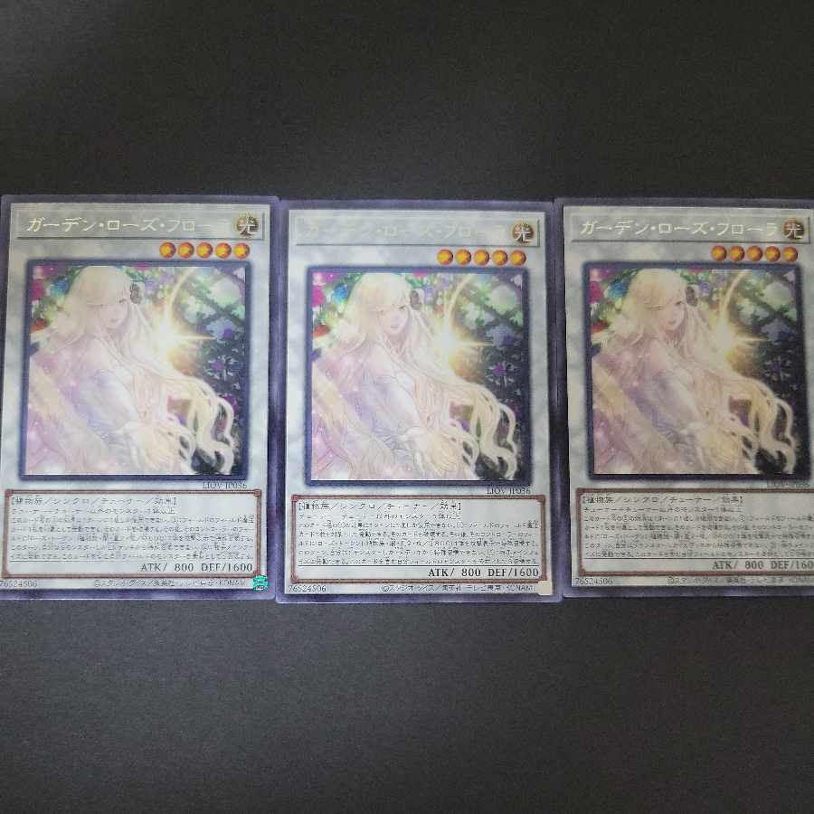 Garden Rose Flora rare JP036