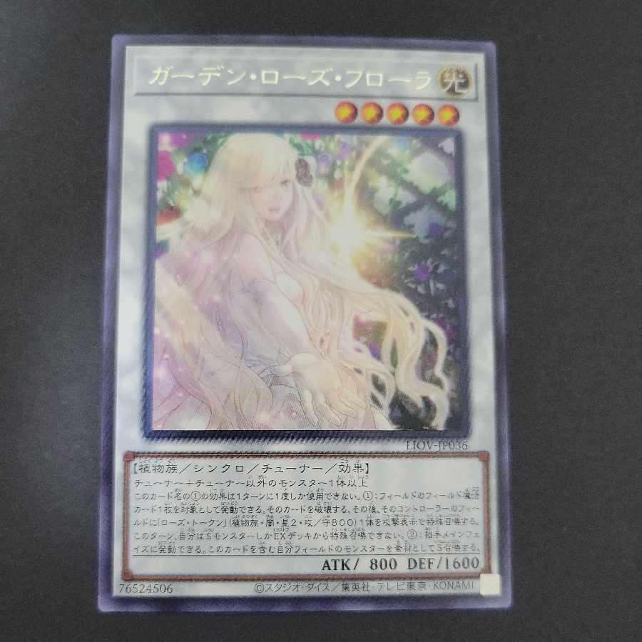 Garden Rose Flora rare JP036