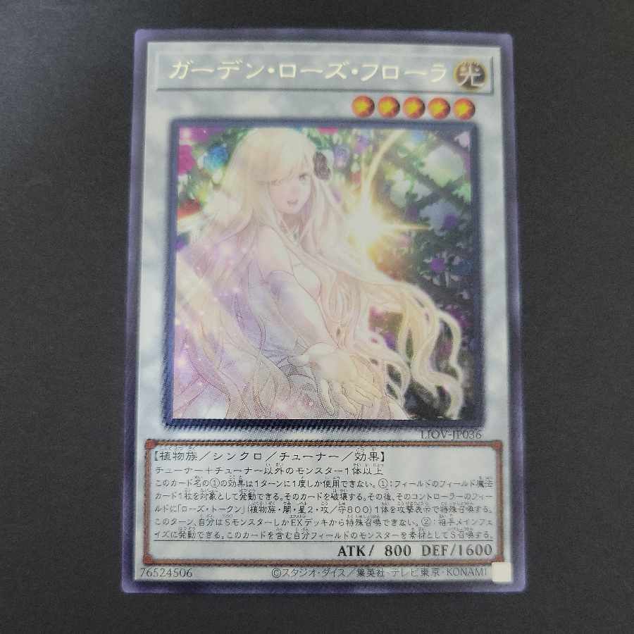 Garden Rose Flora rare JP036