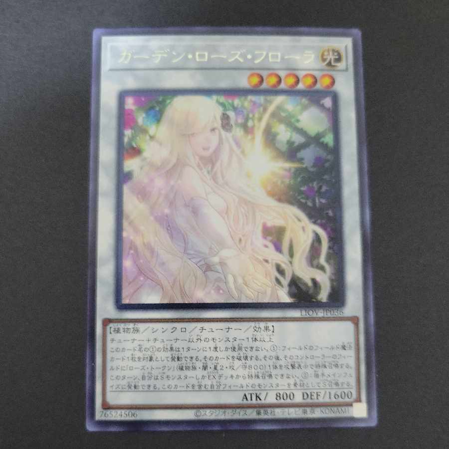 Garden Rose Flora rare JP036