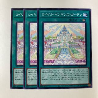 6603 ロイヤル・ペンギンズ・ガーデン ノーマル JP063