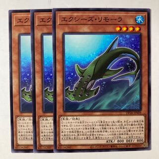 6606 エクシーズ・リモーラ ノーマル JP009