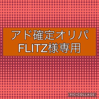 FLITZ様専用