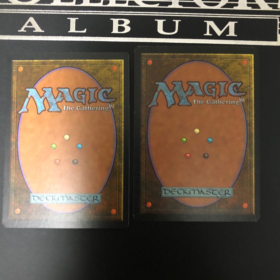 ★タイムセール★ライオンの瞳のダイアモンド ②(日本語) ×2枚