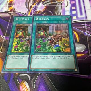 隣の芝刈り スーパーレア 2枚