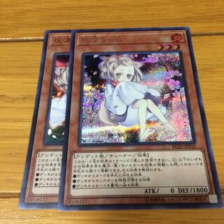 灰流うらら シク一枚、スー一枚