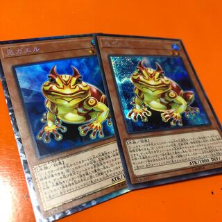 鬼ガエル コレ シク各1枚