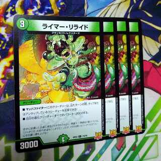 Reimer Relide C 73/76