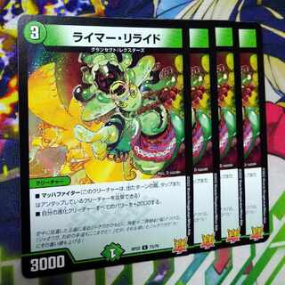 Reimer Relide C 73/76