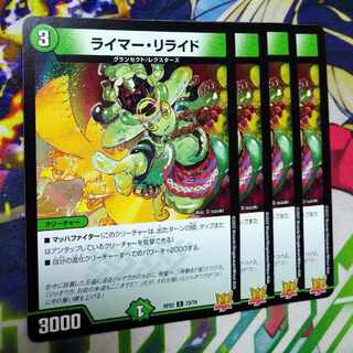 Reimer Relide C 73/76