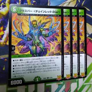 グラスパー ＜チェインレック.Star＞ R 22/76