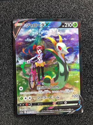 Beautiful Pokémon Card Serperior CSR