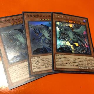 Umi Turtle Monster Gameshiel SR2 Sikh1