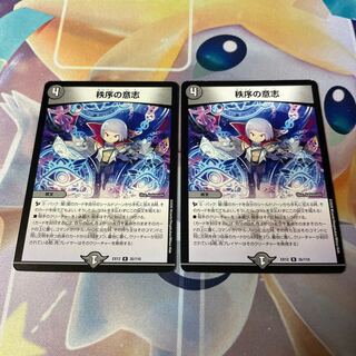 秩序の意志 R 35/110