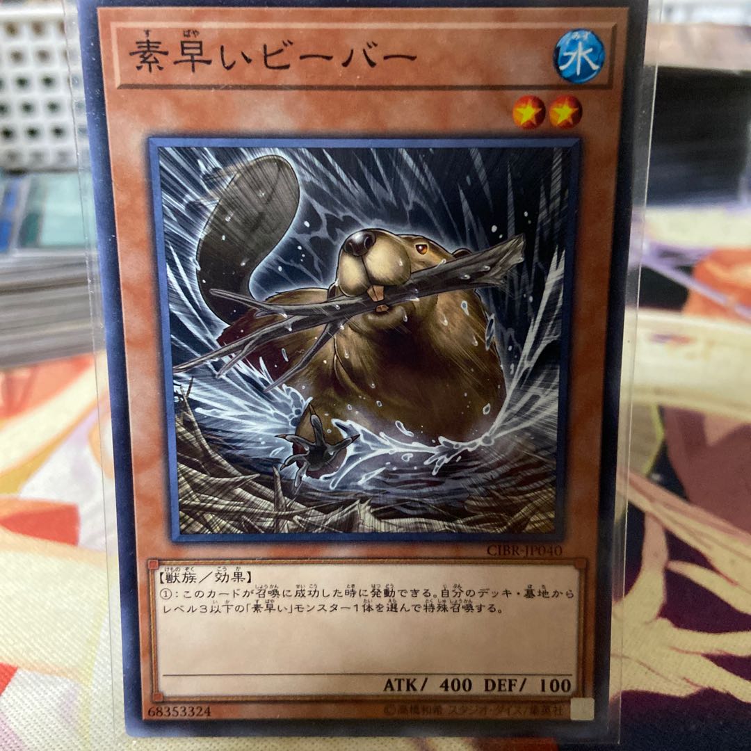 Nimble Beaver Normal rare JP040