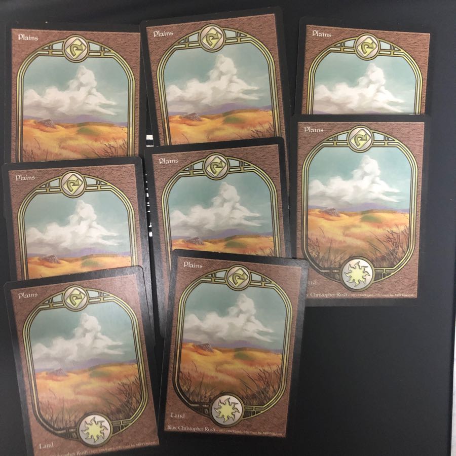 ★タイムセール★平地(アングルード) ×8枚