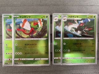 Yanma Evolution Line (1)