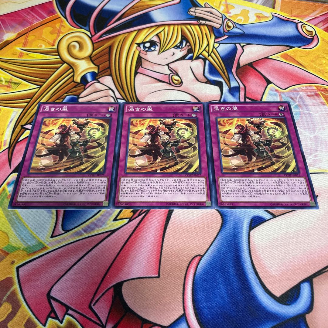 Dried Winds Normal JP075