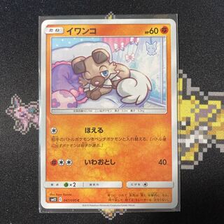 イワンコ C 047/095