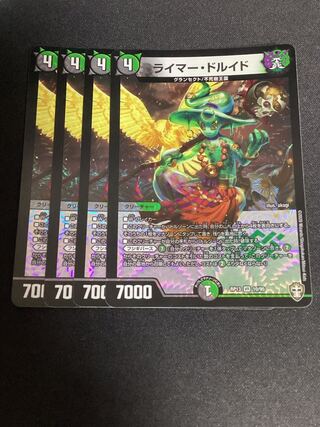 Reimer Druid VR 10/95