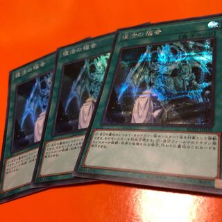 Return of the Dragon Lords SR2 Sikh 1