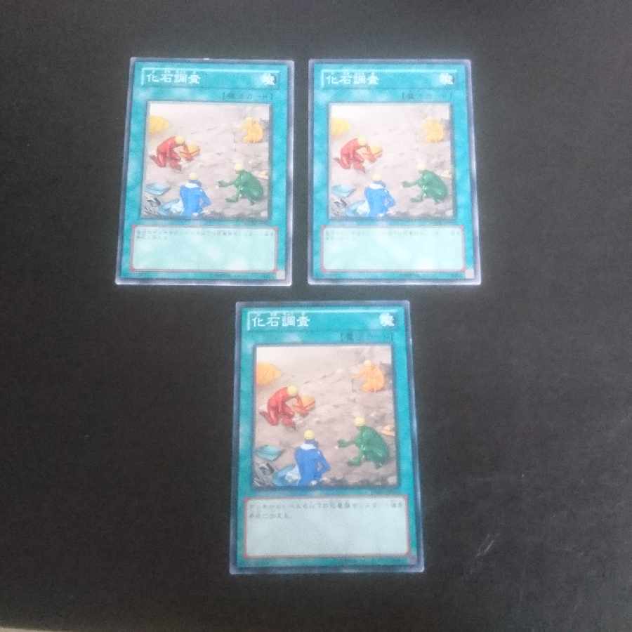 D131 Fossil Dig Normal JP062