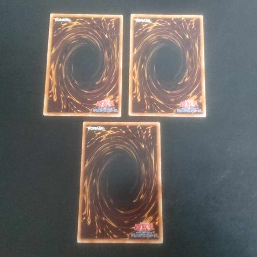 D131 Fossil Dig Normal JP062