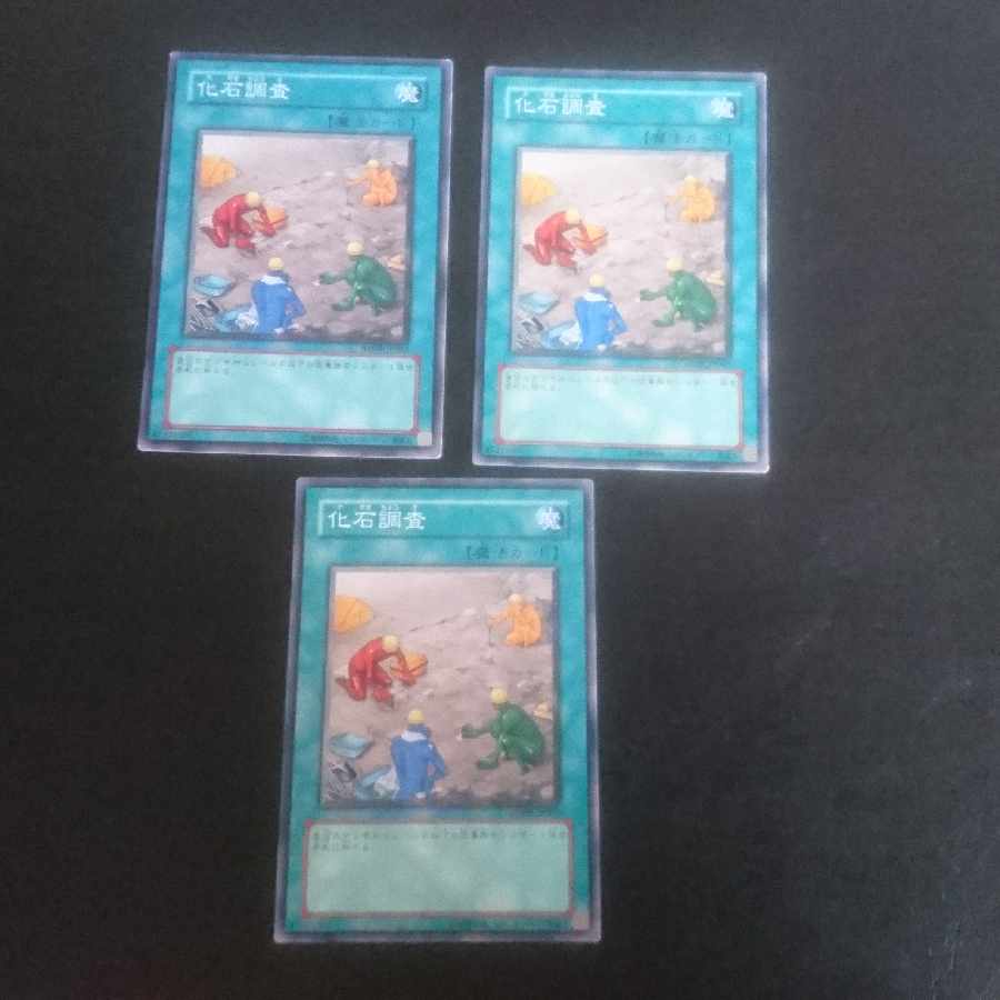 D132 Fossil Dig Normal JP062