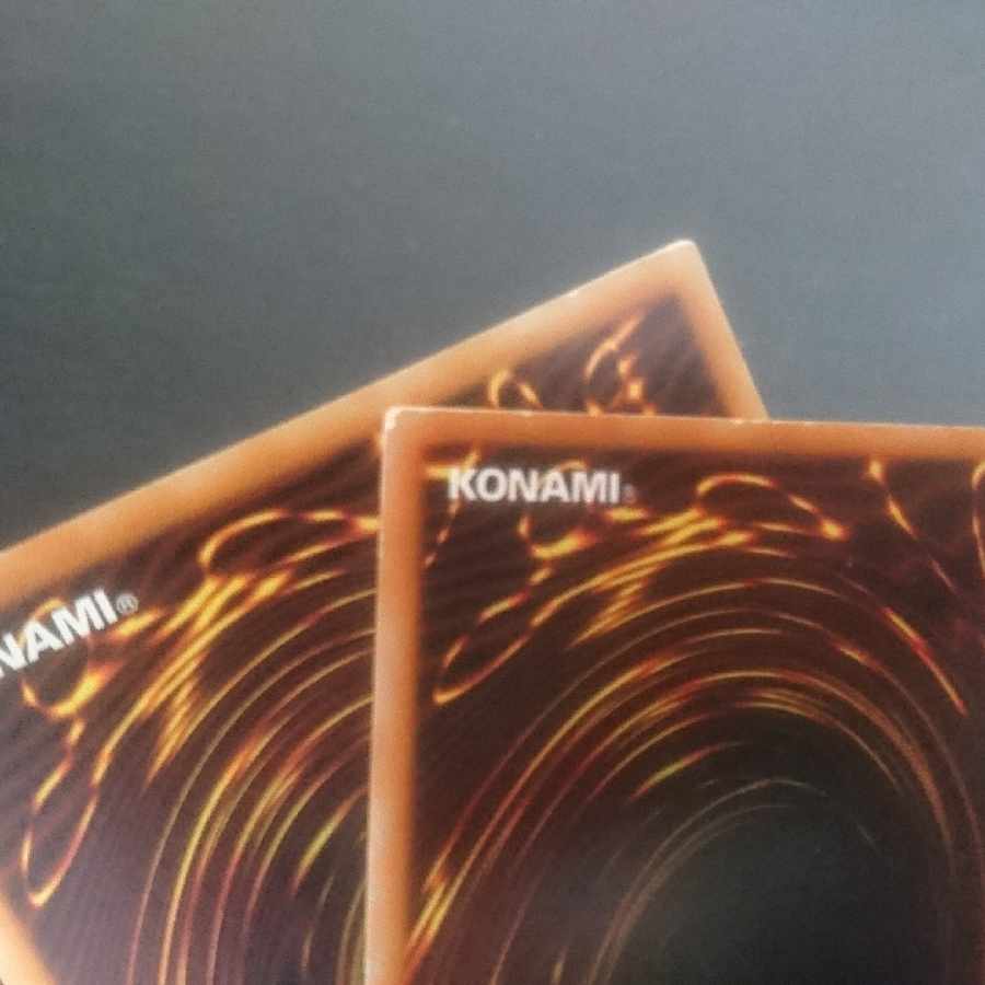 D132 Fossil Dig Normal JP062