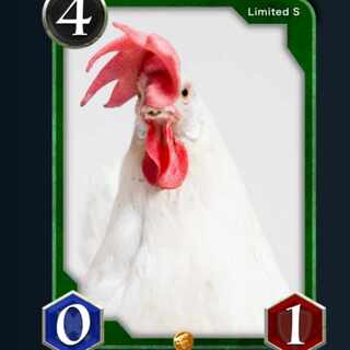 Sカード　ピュアハートチキン