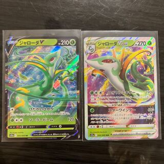 SerperiorV RR 005/068 SerperiorVSTAR 1枚