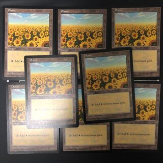 APAC平地 向日葵 ×8枚