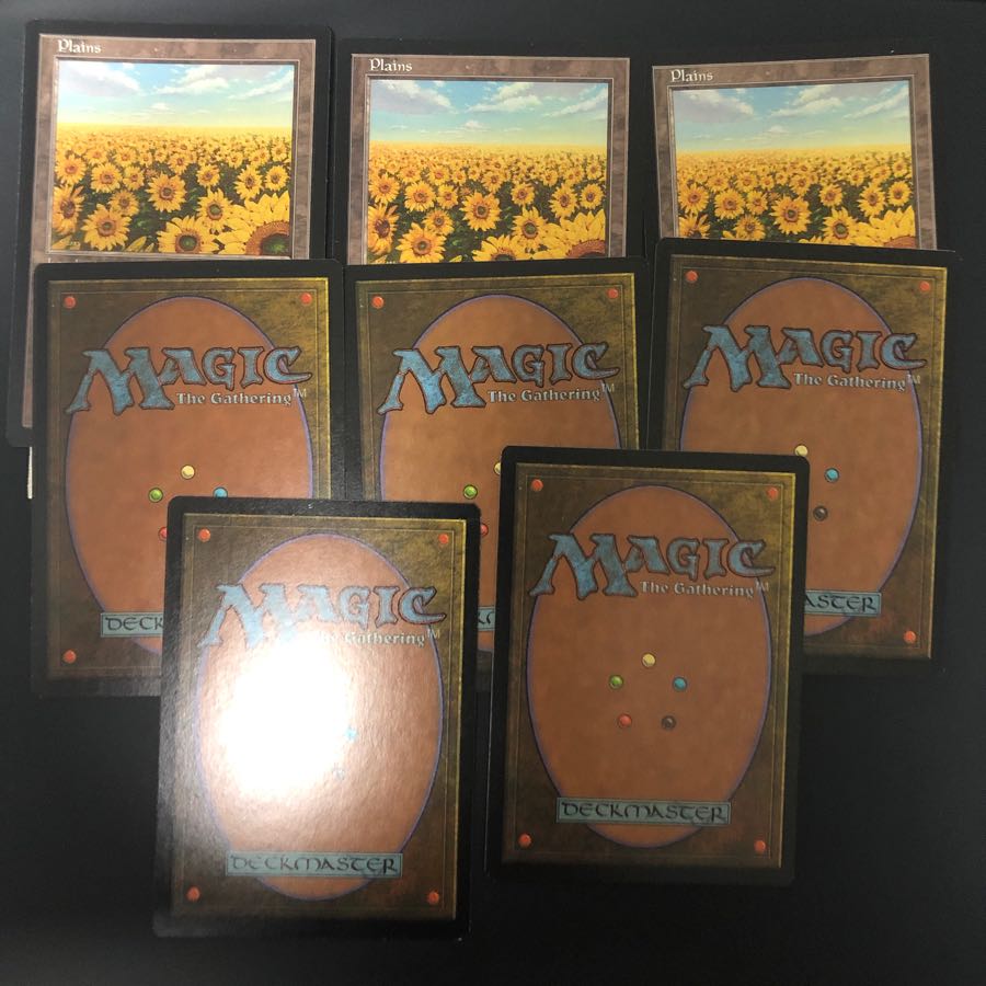 APAC平地 向日葵 ×8枚