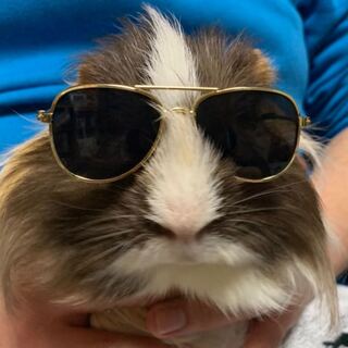 白熱のアルカナ　コンプにご協力下さい