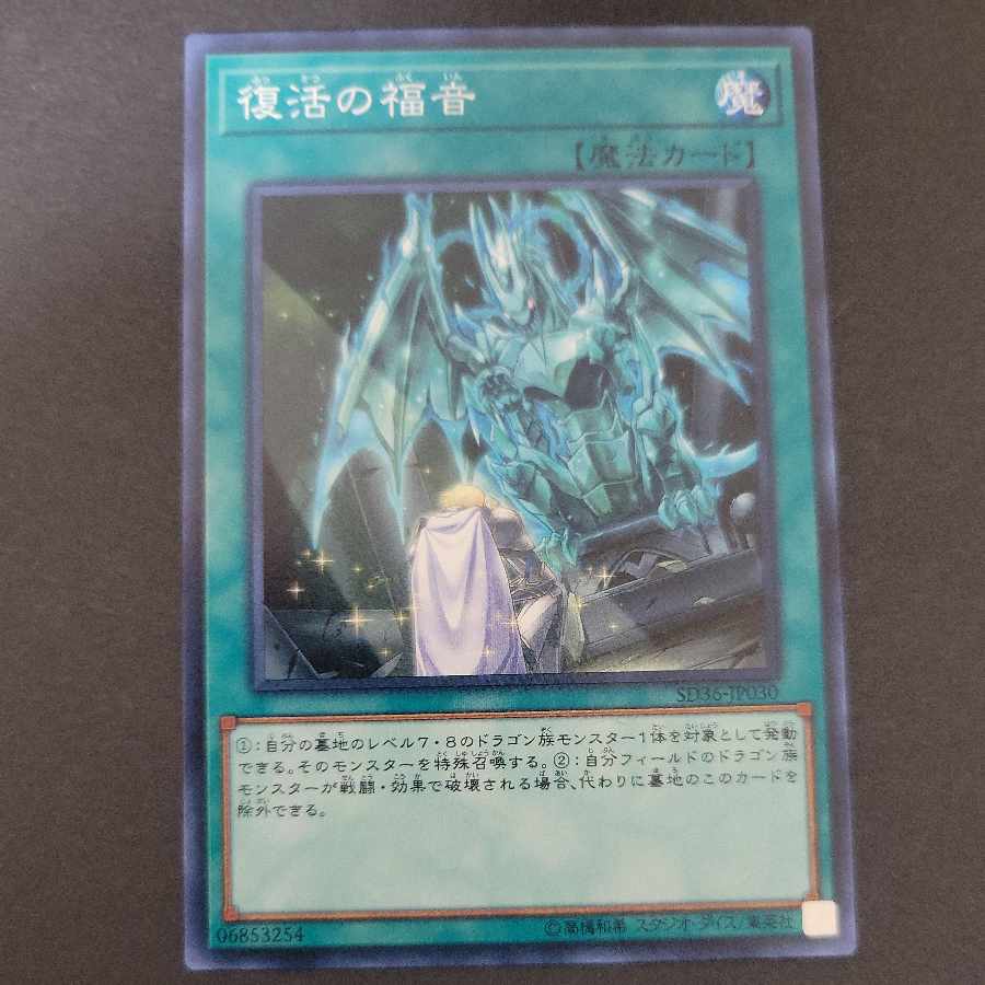 Return of the Dragon Lords Normal JP030