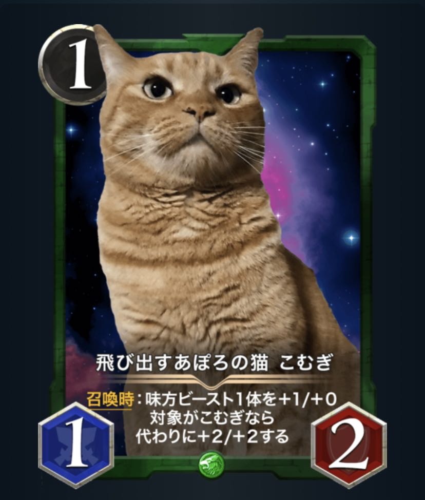 こむぎ　2枚セット　レベル36と36